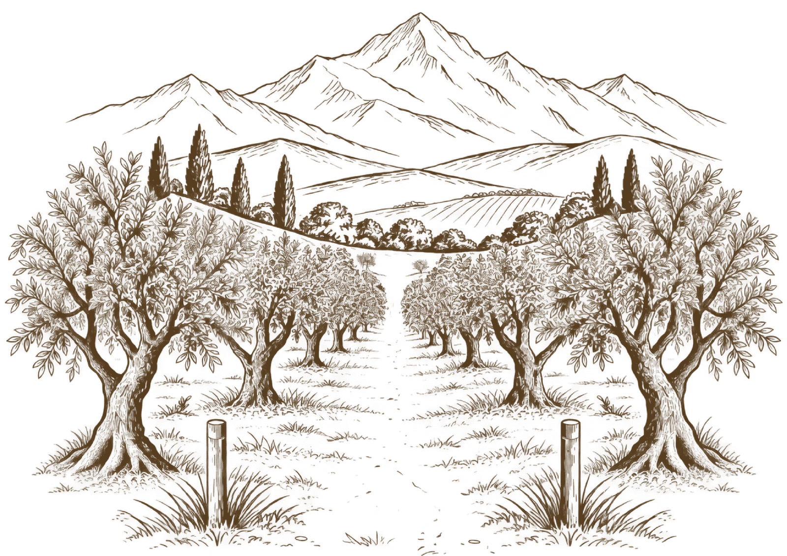 Cordillera y álamos de la finca